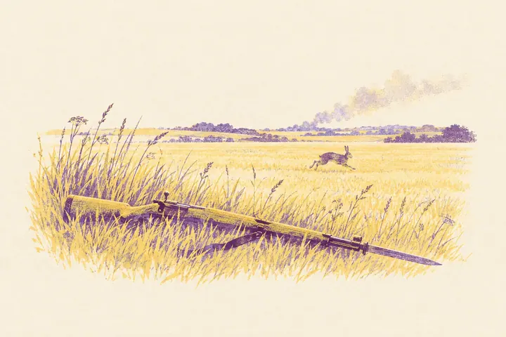 Illustration of a rifle with a bayonet lying in long grass, a hare running across the field and smoke on the horizon